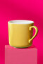 Saga Harvest Mug 300 Cc Set of 2 51101-175030 - 2