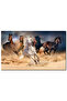 لوحه جداريه كانفس - خيول ملونه تركض -538
