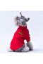 Red Wow Embroidered Stretchy Cat Dog Sweatshirt - Cat Dog Outfit