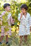 Striped Muslin Children's Bathrobe Gray - 3