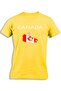 CANADA MAP FLAG