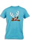 REINDEER PICKING
