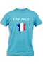 FRANCE MAP FLAG