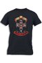 APPETITE FOR DESTRUCTION