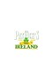 HAPPY ST PATRICKS DAY - 3