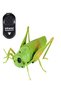 Interactive toy, Grasshopper with remote control, green, brick, 12cm