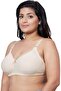 Women Full Coverage Plus Size Padded Everyday Bra, Size 40B-44B - 3