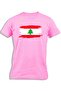 LEBANON PAINTED FLAG