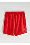 Quality Pieces from Çelebi Store Regular Fit Men's Sports Shorts - 6