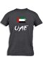 UAE PAINTED FLAG