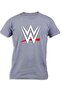 WWE FOR KIDS