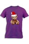 TEDDY BEAR SANTA HAT