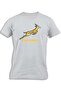 SPRINGBOKS