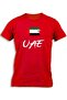 UAE PAINTED FLAG
