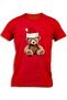 TEDDY BEAR SANTA HAT