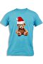TEDDY BEAR SANTA HAT
