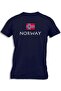 NORWAY WITH FLAG