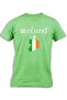 IRELAND MAP FLAG
