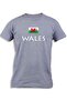 WALES WITH FLAG