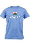 WALES WITH FLAG