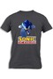 SONIC RUNNING