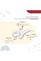 Dr. Numb Lidocaine Topical Anesthetic Numbing Cream for Pain Relief, Maximum Strength with Vitamin E - 2