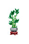 Lucky Bamboo Building Set 531 Pieces Decorative Building Toy Cobalt I Plant Model 2215 - 4