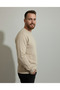 Erkek Basic Bisiklet Yaka Pamuklu Sweatshirt