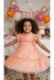 Girls' Tulle Layered Ruffled Special Occasion / Birthday Dress