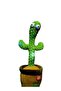 Dancing Cactus Toy Green