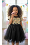 Black Tutu Skirt Party Dress