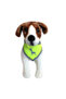 VISIBILITY DOG BANDANA ( MEDIUM - NEON YELLOW ) - 4