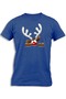 REINDEER PICKING