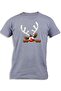 REINDEER PICKING