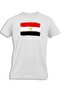 EGYPT PAINTED FLAG FOR KIDS