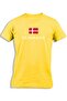 DENMARK WITH FLAG
