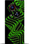 Phantom X2 Pro Compatible Case Hd Printed Case