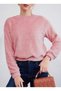Women's Clothing for Autumn and Winter, Crew Neck Plush, Comfortable Long Sleeves, Sweatshirt - 2