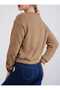 Women's Clothing for Autumn and Winter, Crew Neck Plush, Comfortable Long Sleeves, Sweatshirt - 3