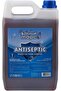 ANTISEPTIC DISINFECTANT 5LTR