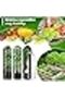 Refrigertor Herb Keeper Fresh Herb Sver Containers Cilntro Mint & Prsley Keeps - 5
