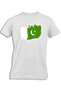 PAKISTAN PAINTED FLAG