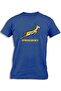 SPRINGBOKS