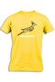 SPRINGBOKS