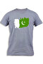 PAKISTAN PAINTED FLAG