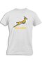 SPRINGBOKS FOR KIDS