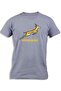 SPRINGBOKS
