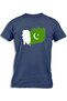 PAKISTAN PAINTED FLAG