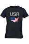 USA MAP FLAG