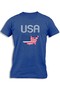 USA MAP FLAG
